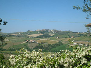 castel di lama marche 2