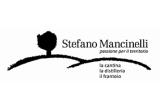 stefano_mancinelli_vitis_vinifera