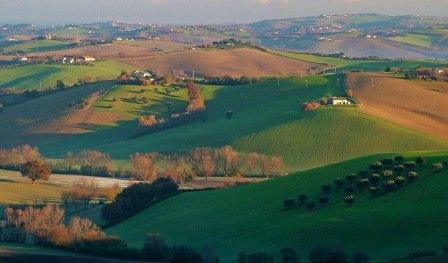 COLLINE-SANTA-MARIA-NUOVA